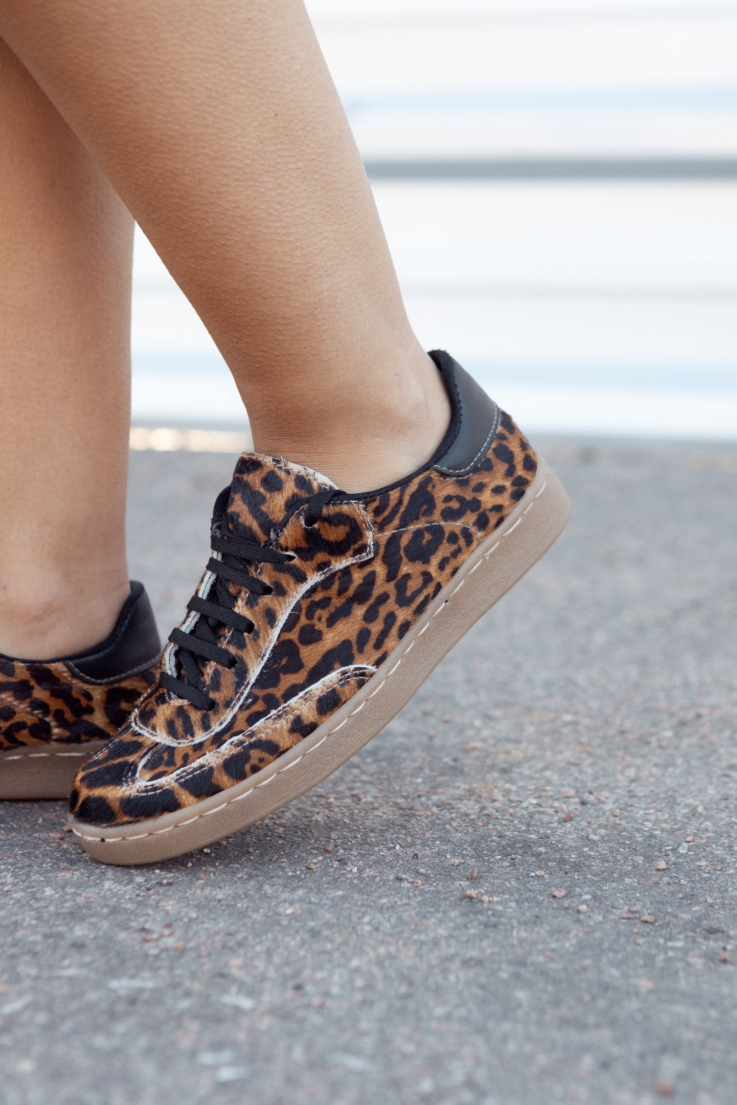 Viena: Sneaker Kiko's Pelo Print