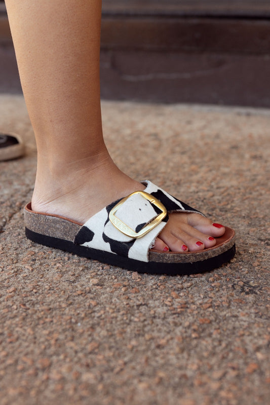 Clover: Sandalia Kiko's una hebilla Vaca